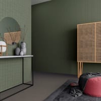 Modular Pebble