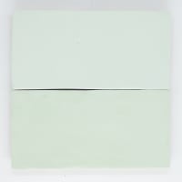 Pico Mint Matt