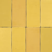 Pico Mustard Gloss