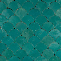 Zellige Atlas Petrol Poisson Echelles