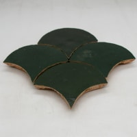 Zellige Vert Mousse Poisson Echelles
