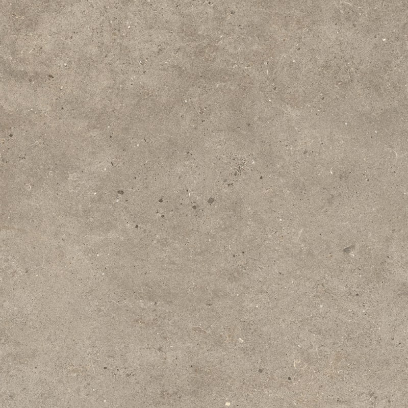 Fossil Taupe