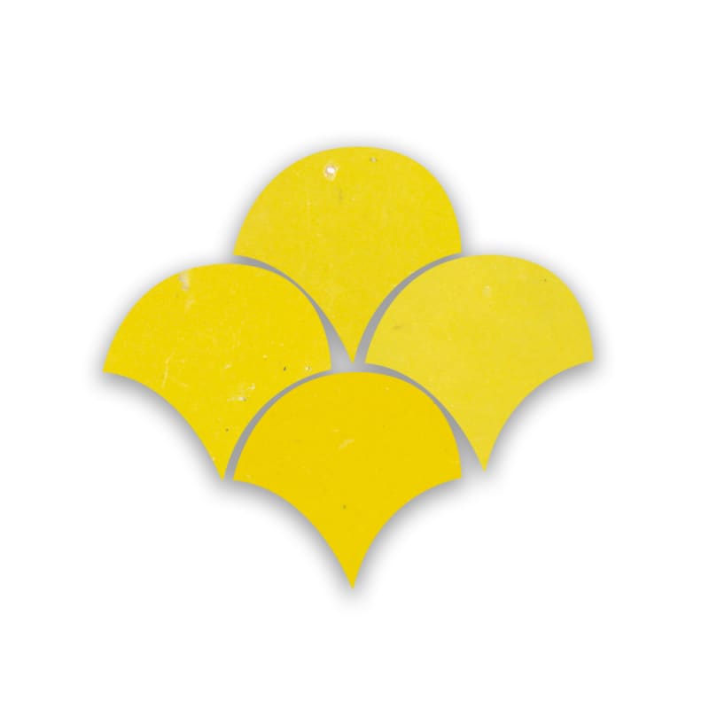 Zellige Citron Poisson Echelles