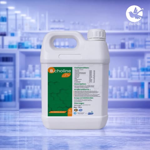 B Choline Plus · 5 L