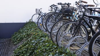 Forsidebillede af lokale