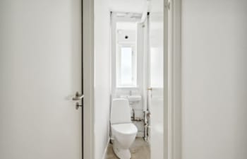 Forsidebillede af lokale