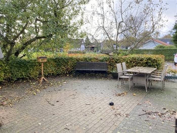 Forsidebillede af lokale