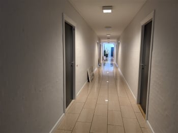Forsidebillede af lokale