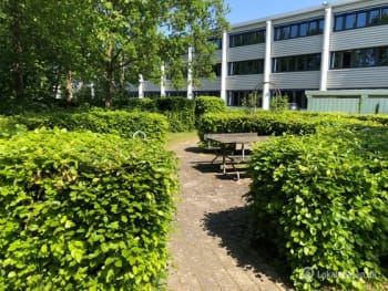 Forsidebillede af lokale