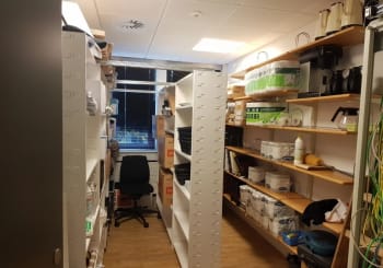 Forsidebillede af lokale