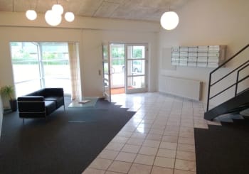 Forsidebillede af lokale