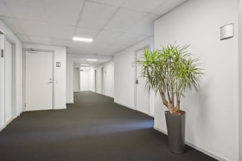 Forsidebillede af lokale
