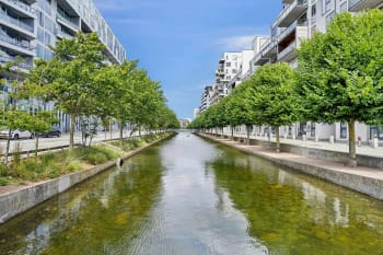 Forsidebillede af lokale