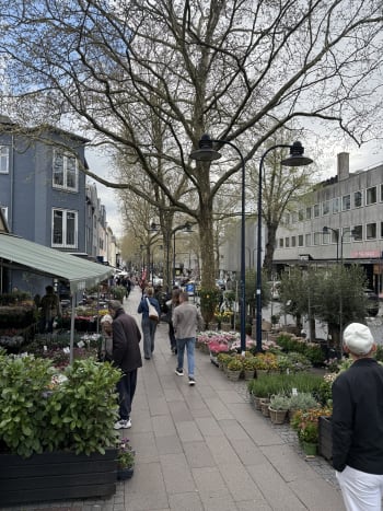 Forsidebillede af lokale