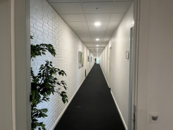 Forsidebillede af lokale