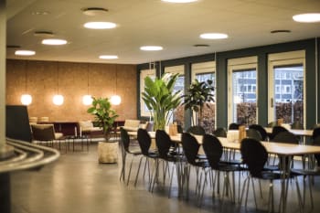 Forsidebillede af lokale