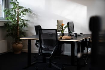 Forsidebillede af lokale