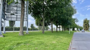 Forsidebillede af lokale