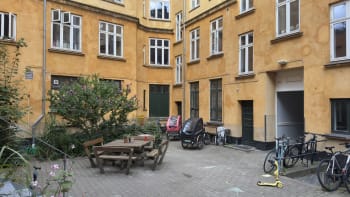 Forsidebillede af lokale