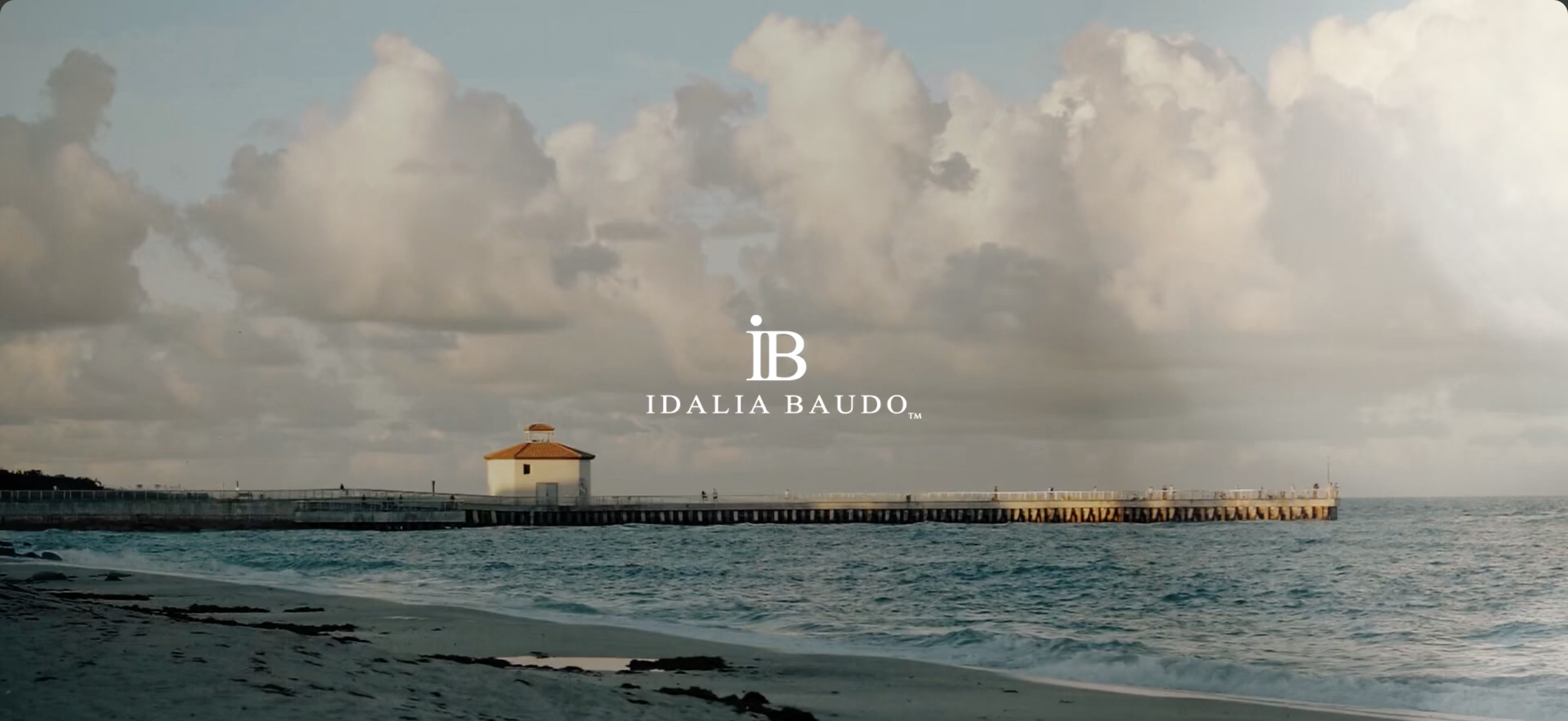 Idalia creative campaign