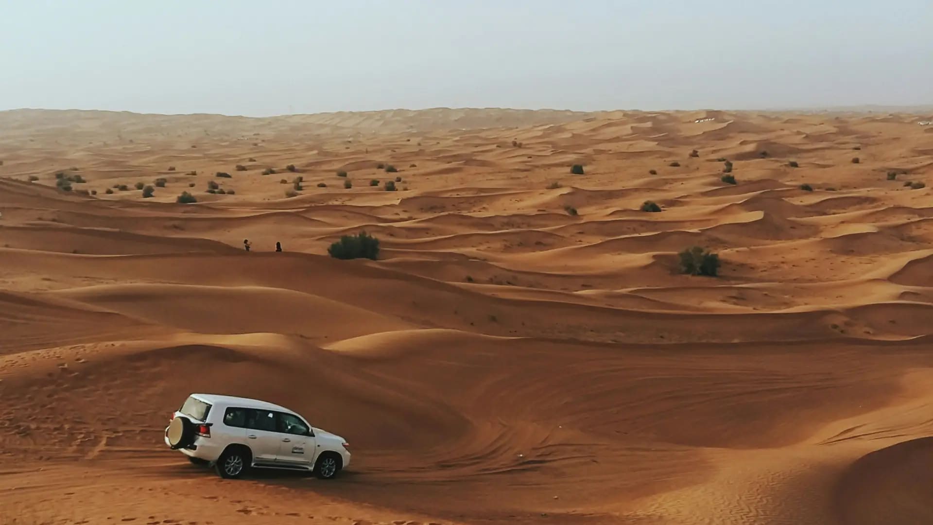 Customer service area at Amer & Tasheel