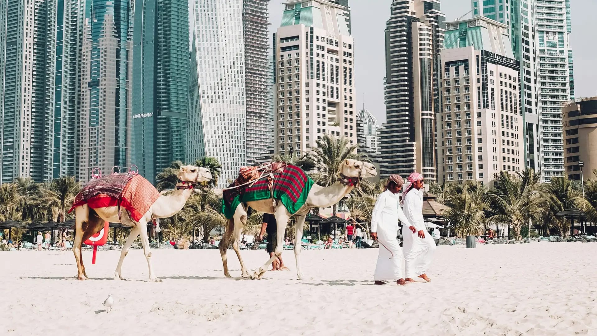 Team assisting clients in Dubai