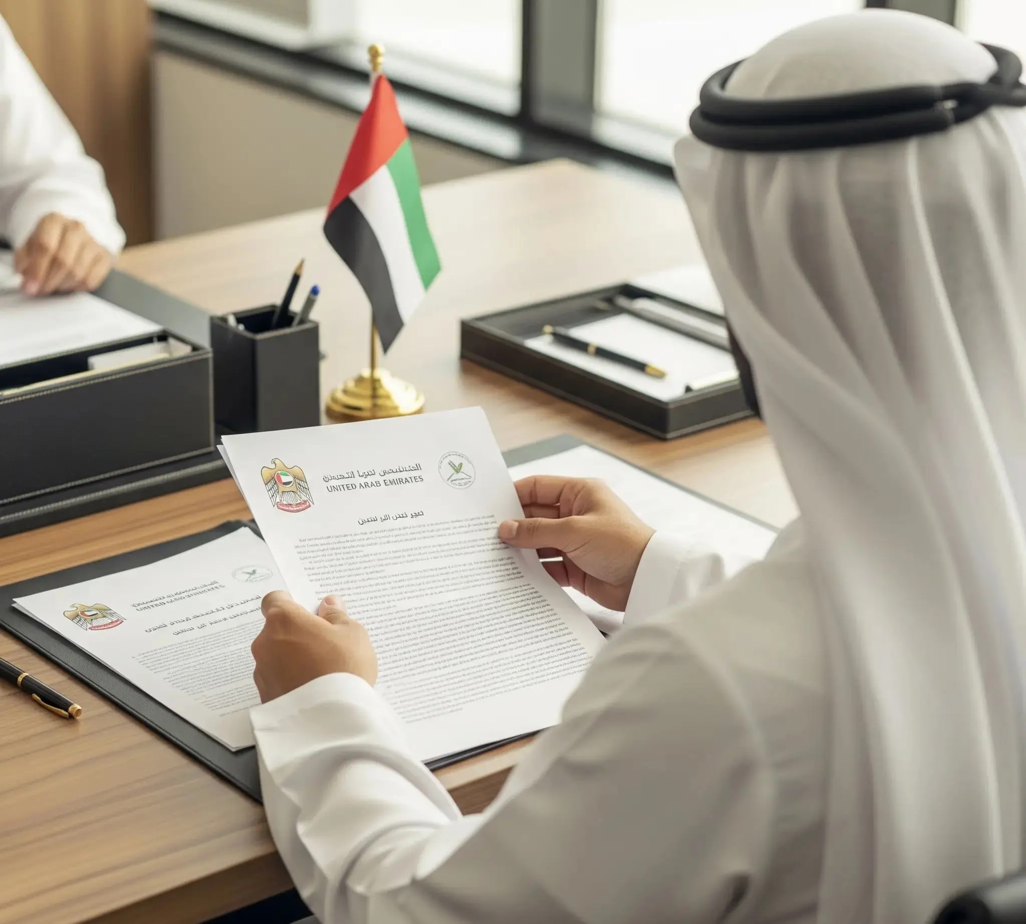 UAE government service assistance