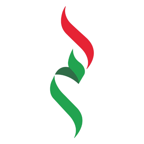 Amer Center: Your Reliable Gateway to UAE Government Services