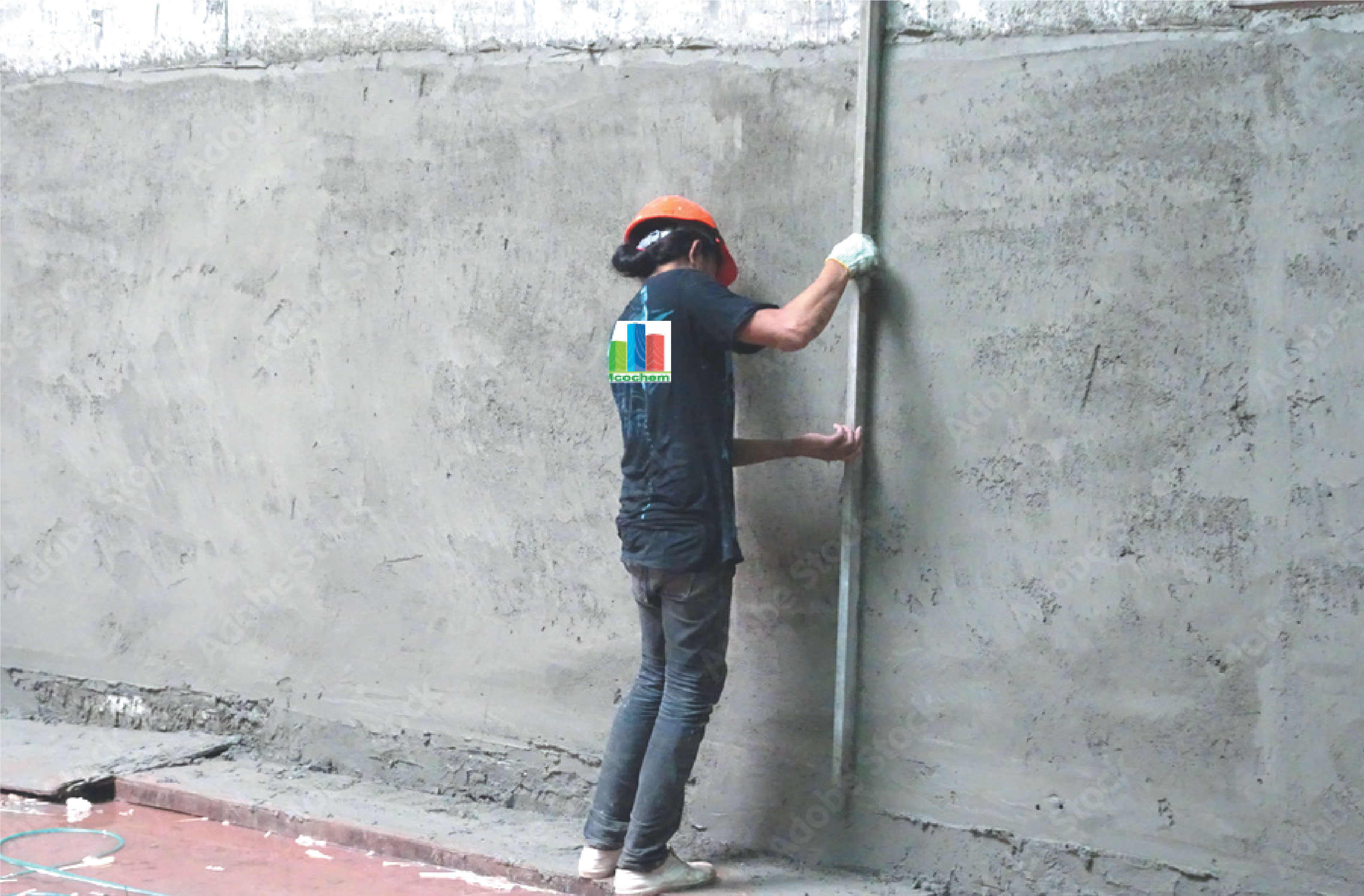 Wall Plaster