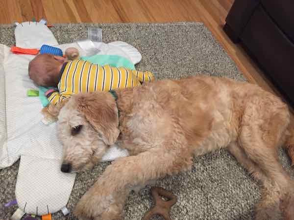 travel tummy time