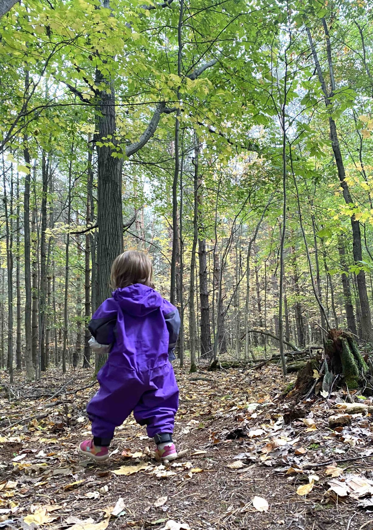18 month old outdoor activities nature walks