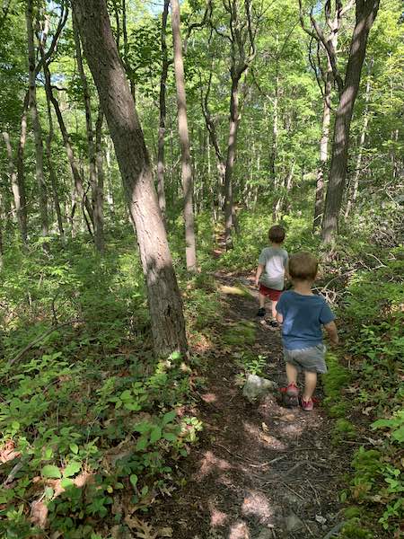 how far can a toddler hike?