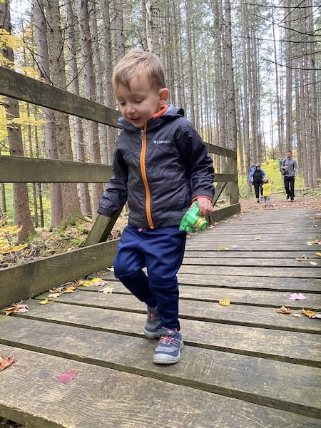 Hiking with toddlers bring a camera