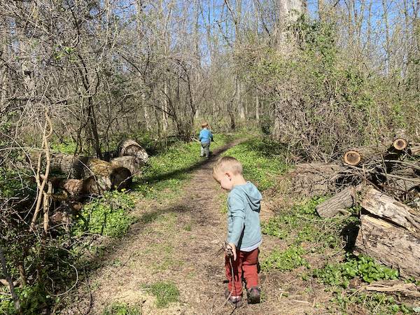 toddler to enjoy hiking photo