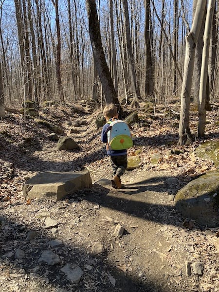 hiking backpack for toddler