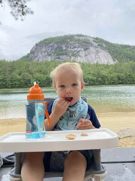 best travel highchair