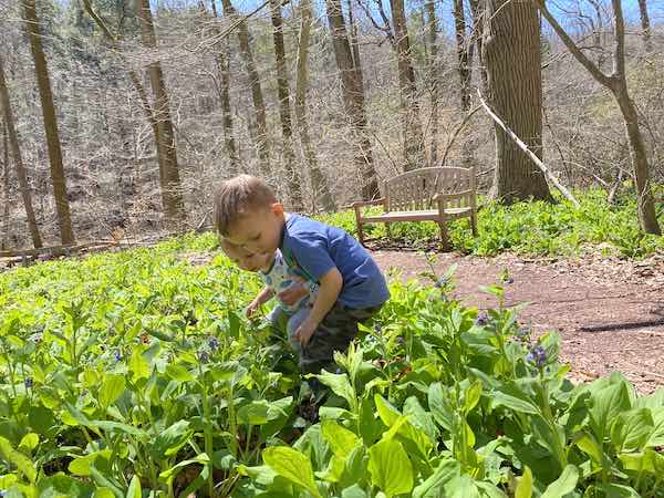 camping activities for toddler selecting a flower