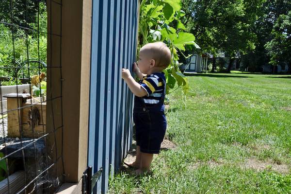 things to do with a baby outside garden