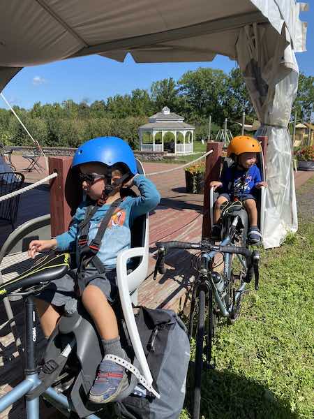 rear toddler bike seat