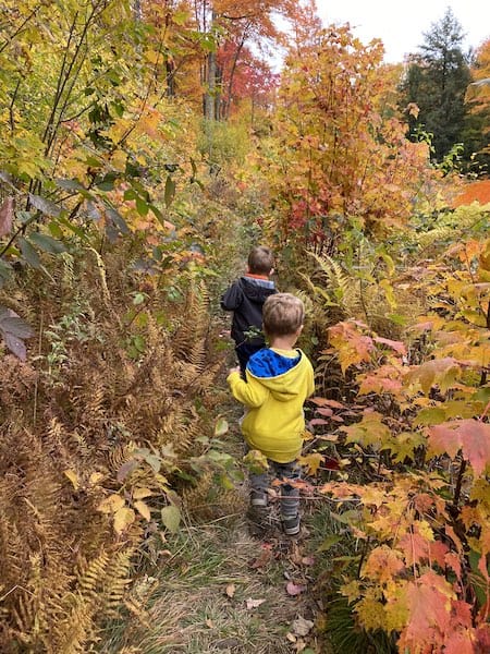 toddlers can hike photo