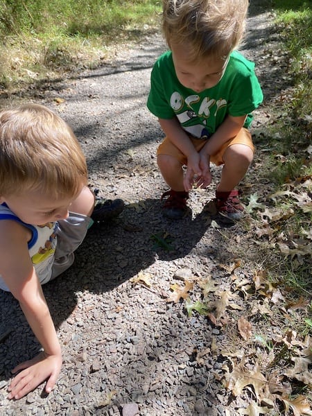 expectations for hiking with toddlers stopping often!