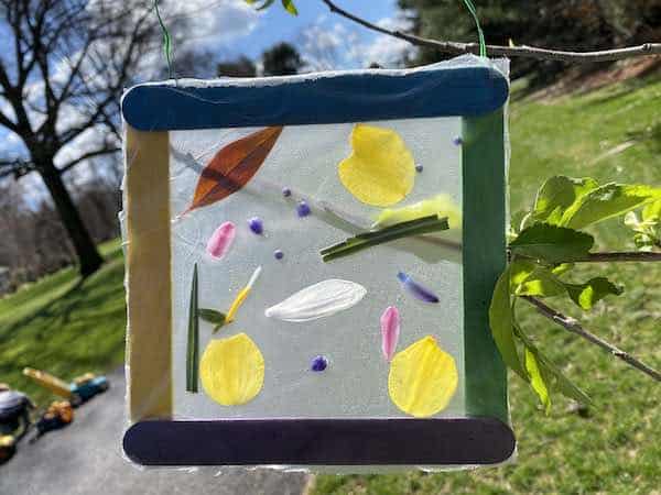 DIY Nature Suncatcher, Crafts for Kids