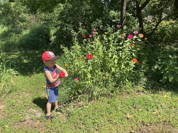 Toddler nature crafts butterflies