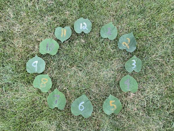 toddler nature crafts sundial leaves