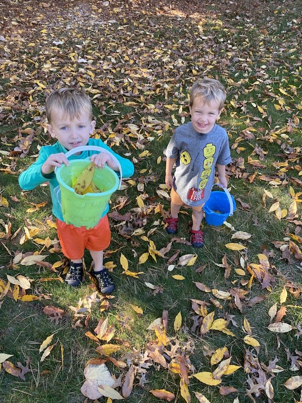 nature project for toddlers sunflowers