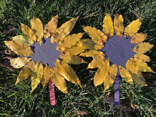 nature craft for preschooler: sunflower