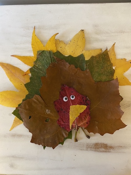 thanksgiving turkey craft for kids