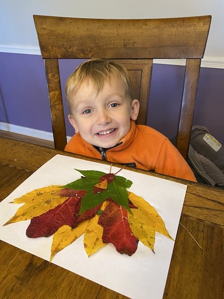 thanksgiving nature craft for toddlers Turkey