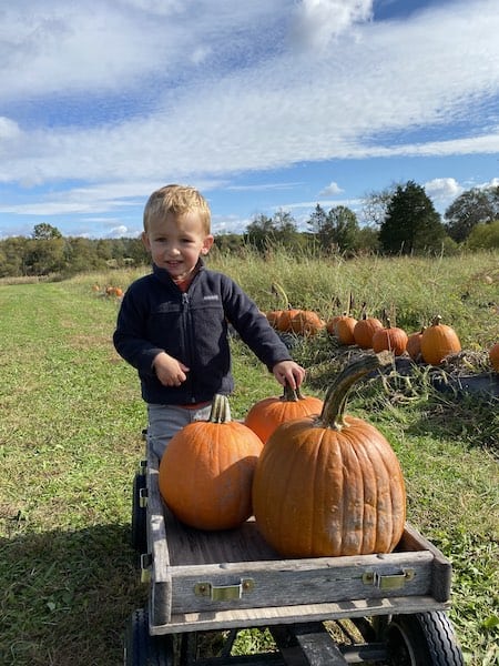 outdoor activities for fall with toddler pumpkin picking