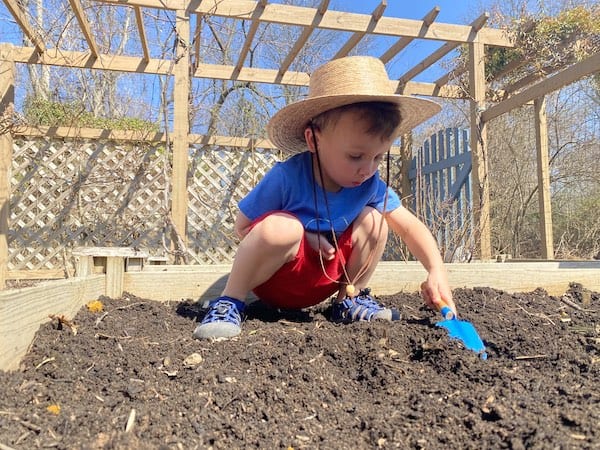 outdoor autumn activity  for toddlers gardening